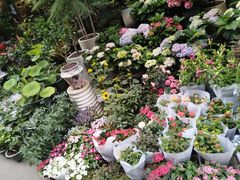 -苏州市皮市街花鸟工艺品市场