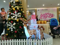 -宝生月子中心·独栋独院式(南山店)