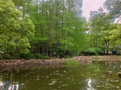 -人民公园-相亲角