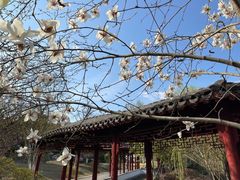 -采石矶景区