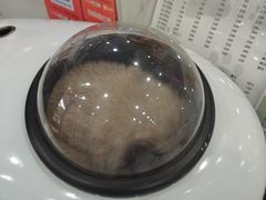 -四月宠物医院·猫专科·心脏专科·内科(转塘店)