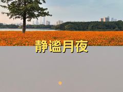 -海珠湖公园