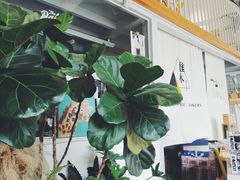 -隹木咖啡馆(宝龙广场店)