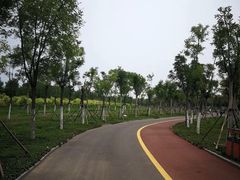 -天津东丽湖风景区