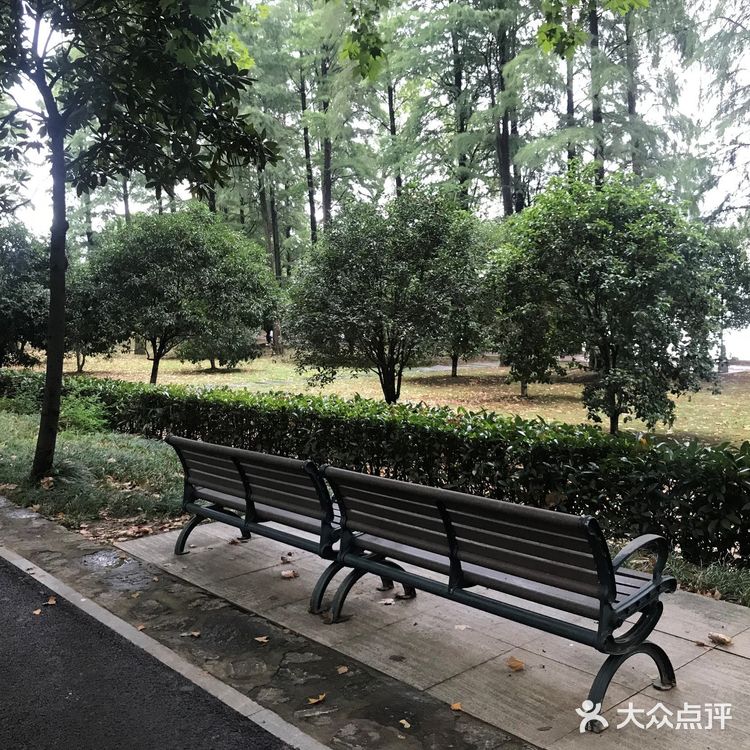 武汉旅行—去武汉东湖景区游览攻略