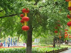 -丰台花园