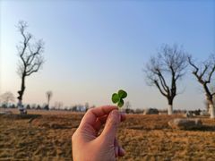 -汉长安城未央宫国家考古遗址公园