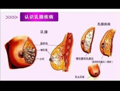 -名发世家烫染