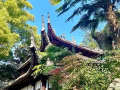 -天一阁博物院