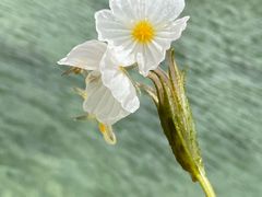 -丽江泸沽湖景区