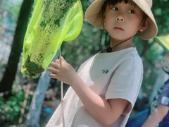 -永定河休闲森林公园