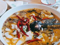 -新白鹿餐厅(城西银泰城店)