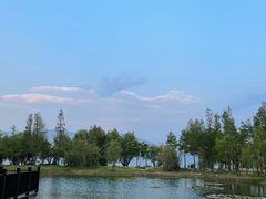 -才村湿地公园