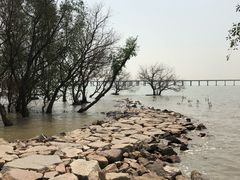 -宝安西湾红树林湿地公园