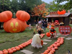 -HERRE·FARM 赫尔露营农场·团建聚会包场