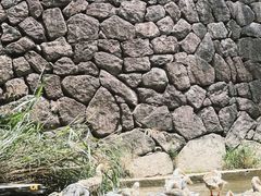 -千岛湖九龙溪漂流