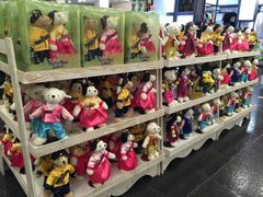 -济州岛泰迪熊博物馆