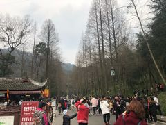 -张醪糟