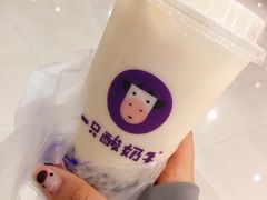-一只酸奶牛(八一路店)
