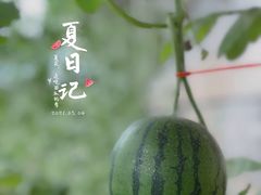 -西瓜小镇