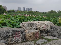 -太阳宫公园