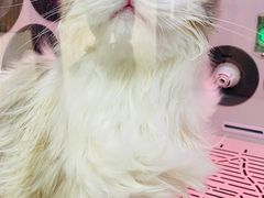 -FAELING PETS美天灵宠物(富力广场店)