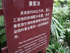 -成都市活水公园