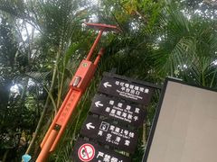 -呀诺达热带雨林