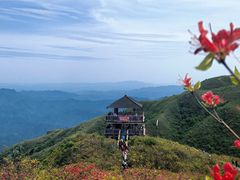 -大围山国家森林公园