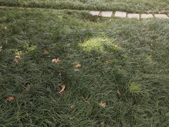 -欧韵公园