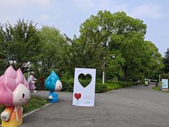 -荷塘月色湿地公园·向阳花洲