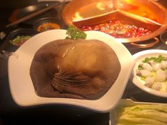 -锅说大脸毛肚重庆老火锅(佐阾店)