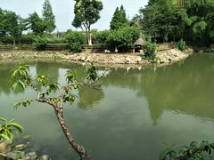 -田园东方蜜桃村的田野营地