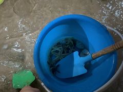 -日照灯塔风景区