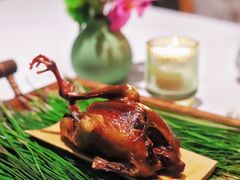 -蝶舍·MAISON PAPILLON