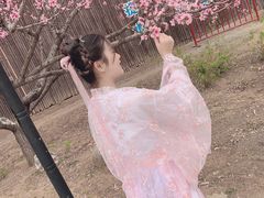 -兰陵国家农业公园