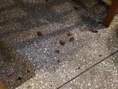 -巴人堂(女儿城店)