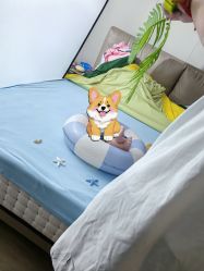 -安琪朵朵独栋花园月子中心