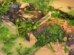 砂锅鱼头-风味小馆(天目湖宾馆店)
