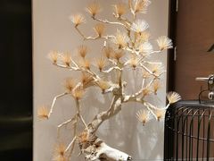 -悦融·京鲁菜·露台花园(安定门店)