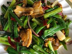 -鲤鱼塘农家山庄