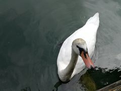 -布劳伽斯特豪夫哈尔施塔特宾馆