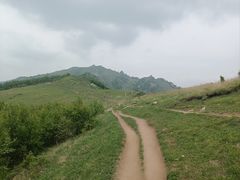 -灵山