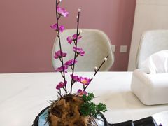 -海胆小馆(东北水饺·春柳店)