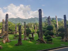 -深圳仙湖植物园