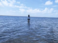 -碧海金沙