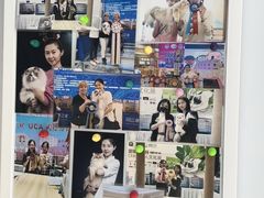 -青奢宠物·青奢猫舍