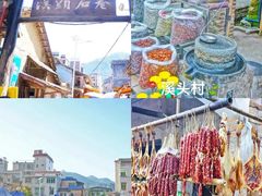 -广州市流溪河国家森林公园