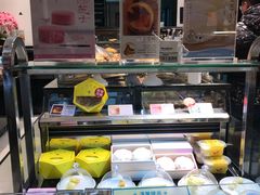 -蒲公英(五里店)