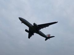 -空港花田景区
